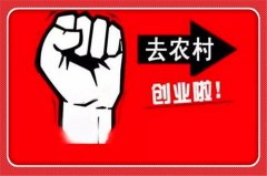 农村选择什 